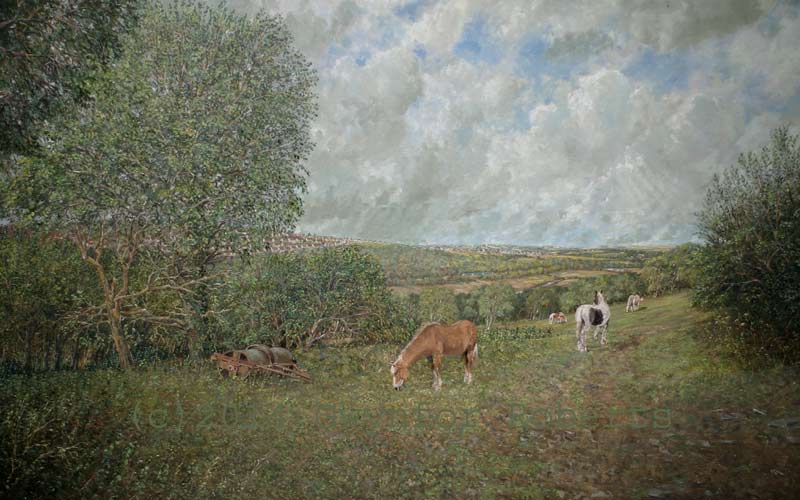 Looking towards Cefn-hengoed - from Gelli Haf Isaf farm